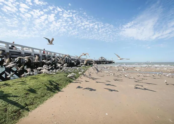 아파트 In With Sea Views