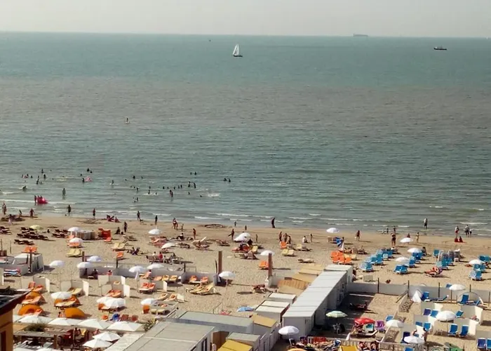 In With Sea Views 아파트 블랑켄베르크